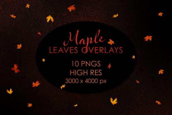 Bring Autumn to Life with Falling Maple Leaf Overlay PNGs