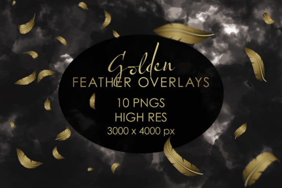 Golden Feather Overlay PNGs: Instant Elegance for Your Projects