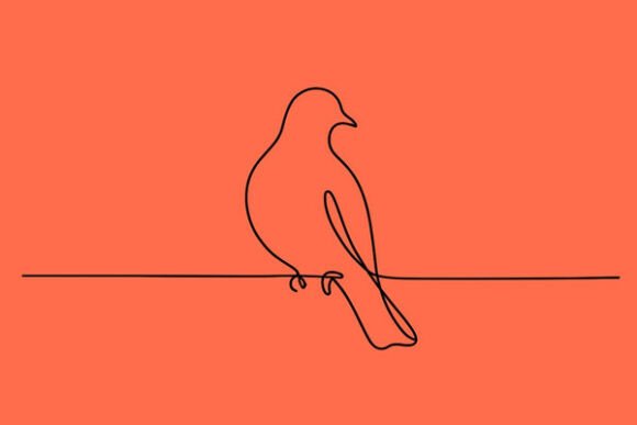 Grace in a Line: The Silent Dove