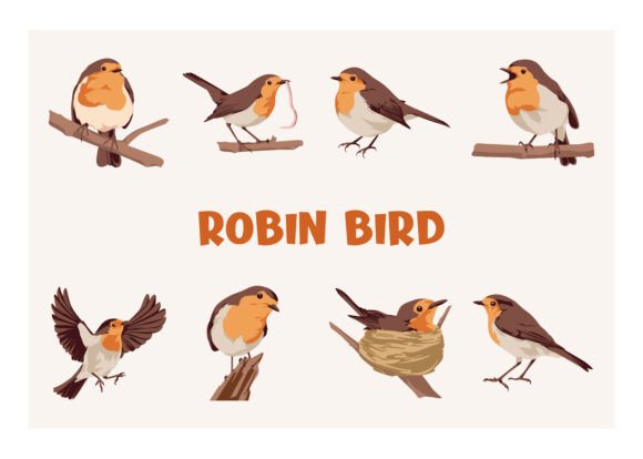 Robbin Bird Collection Set: A Flat Design Asset for Modern Brands