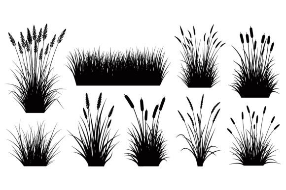 Various Grasses and Cattails Plants Set: A Designer's Toolkit